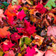 Illustration for article titled 76 Stunning Photos Of Fall Leaves